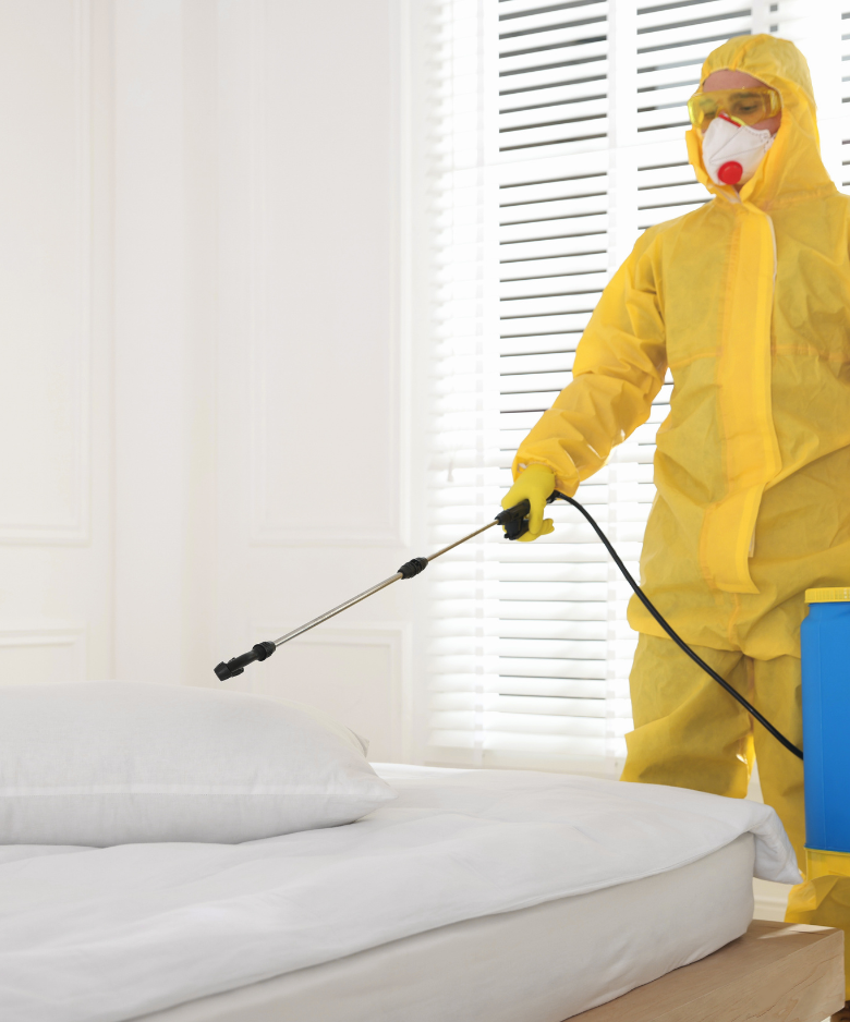 Professional Pest Control Team in Mile End